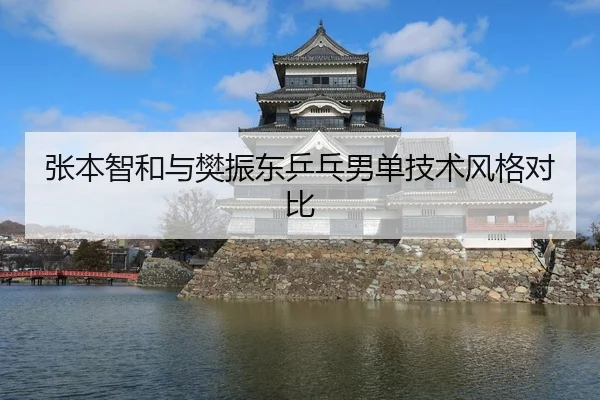 张本智和与樊振东乒乓男单技术风格对比